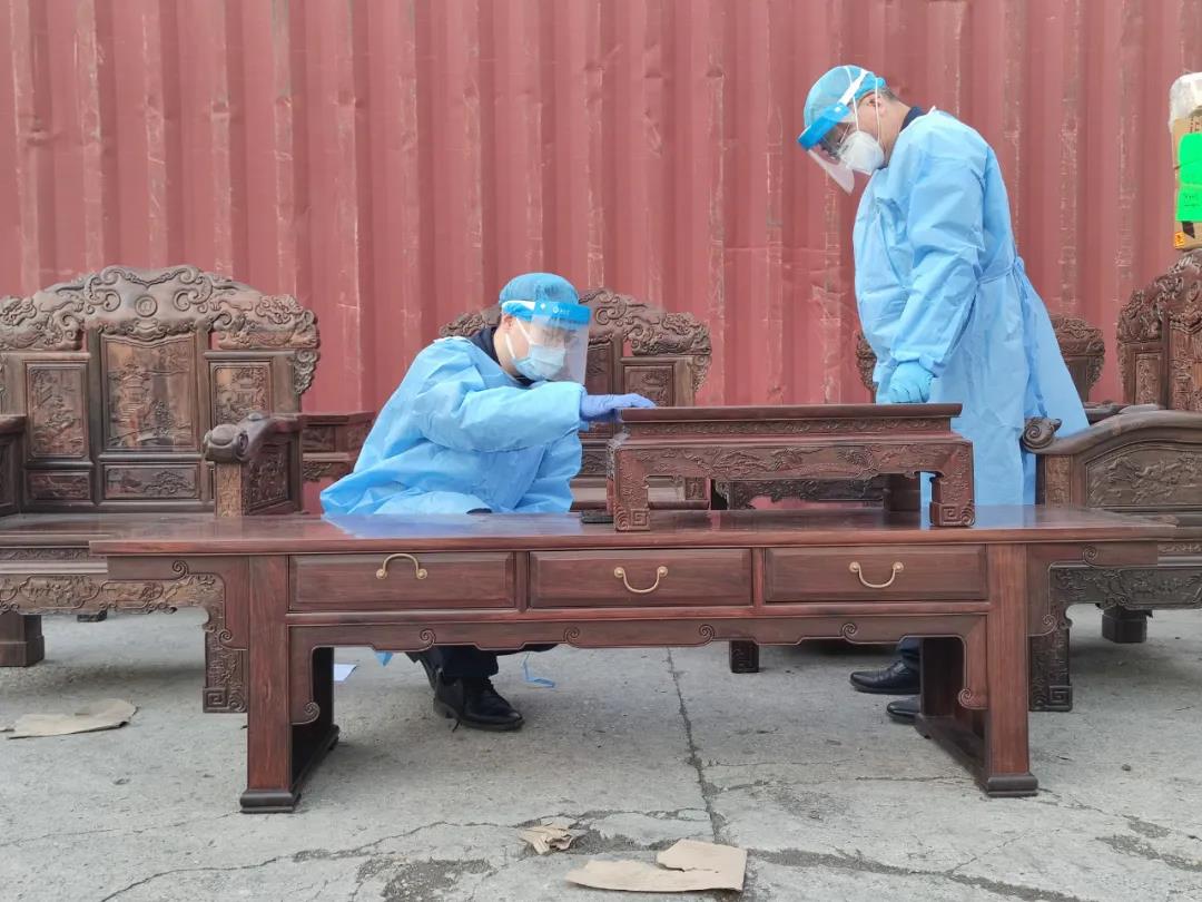 广州海关查货濒危树木家具，实木家具运输暂停6个月